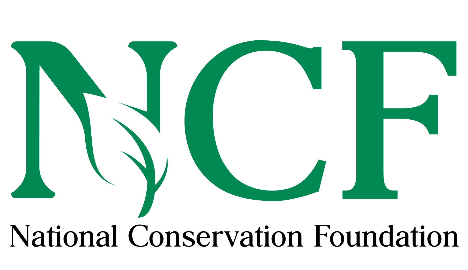 NCF-Logo-2020